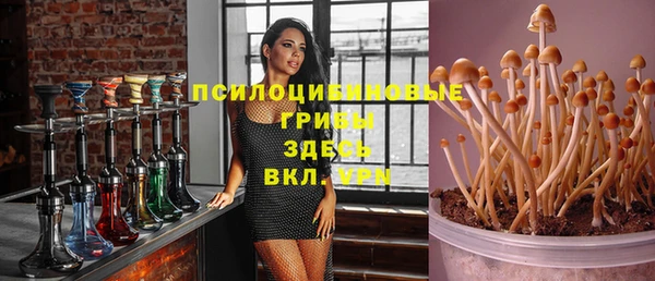 эйфоретик Армянск