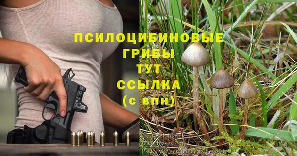 трава Аркадак
