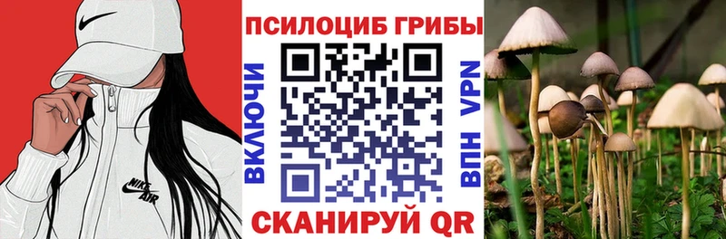 мега   Жуковка  Псилоцибиновые грибы мицелий 